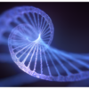 Nukleotid-e1622625341294.png