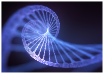 Nukleotid-e1622625341294.png
